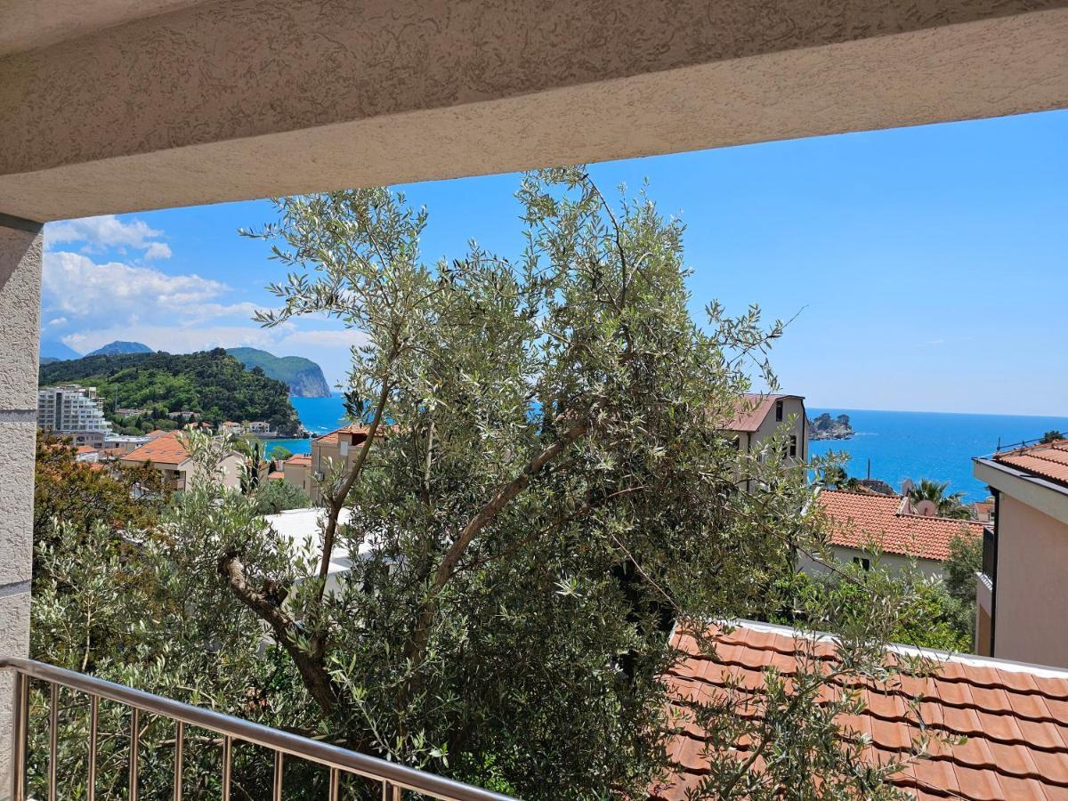 Medin Apartments Bluvista Petrovac Exterior foto