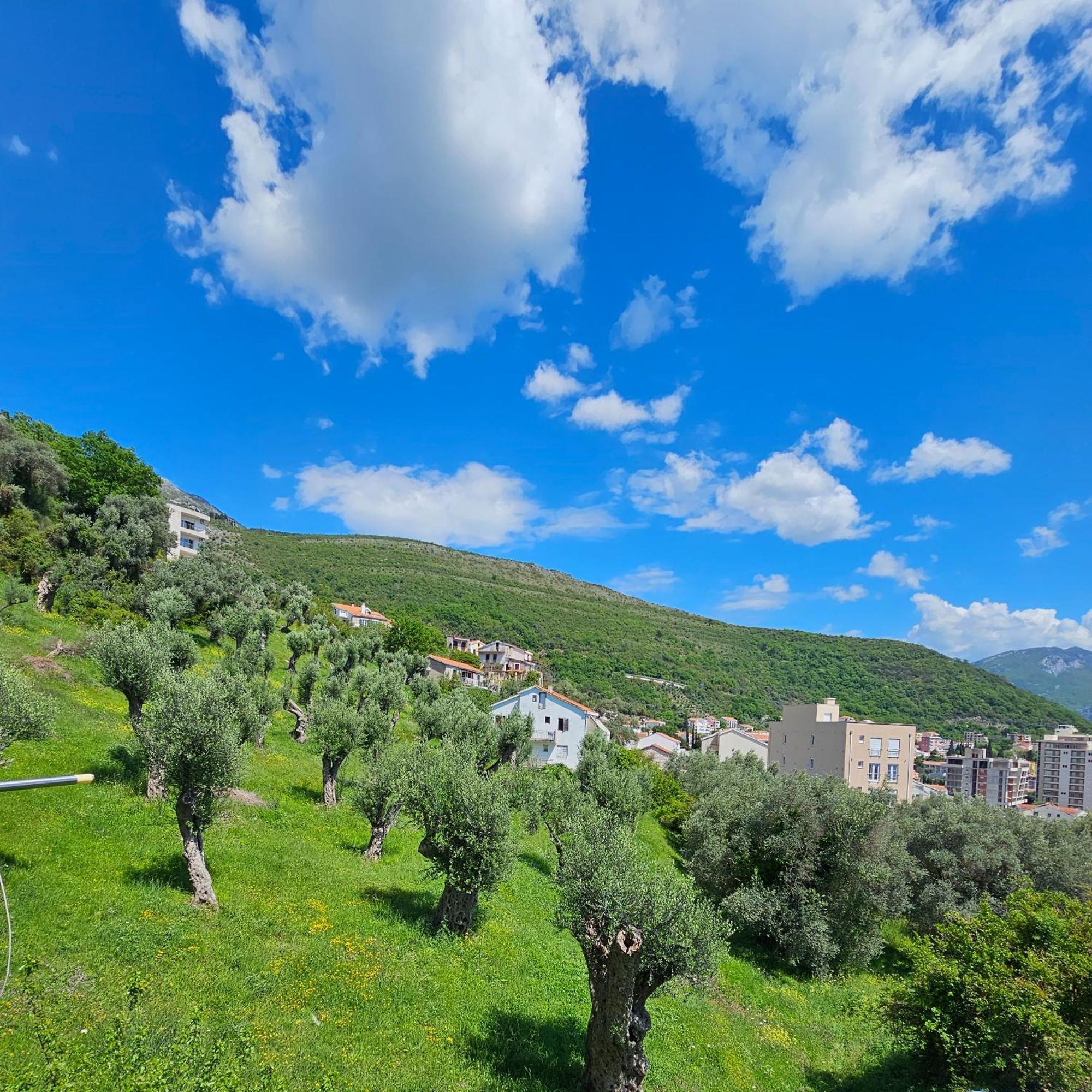 Medin Apartments Bluvista Petrovac Exterior foto