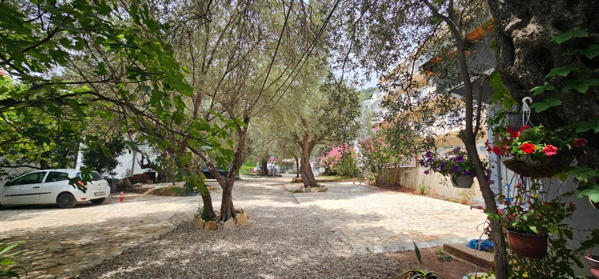 Medin Apartments Bluvista Petrovac Exterior foto